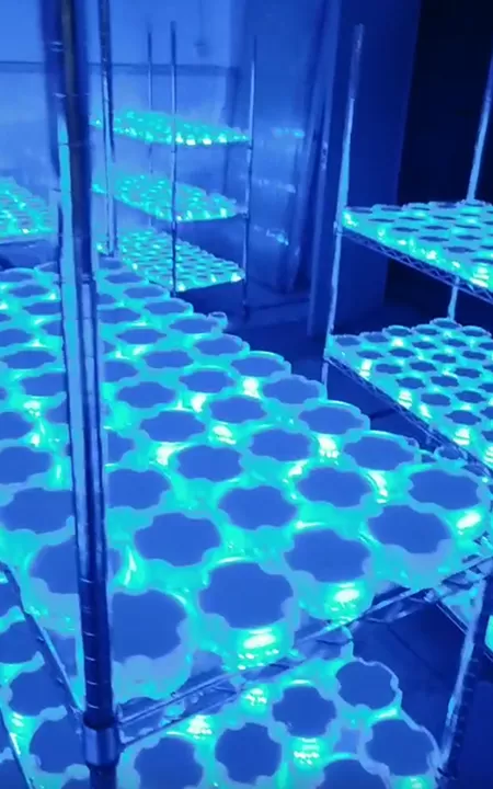 Advantages of Lik-143 Soalr Road Studs