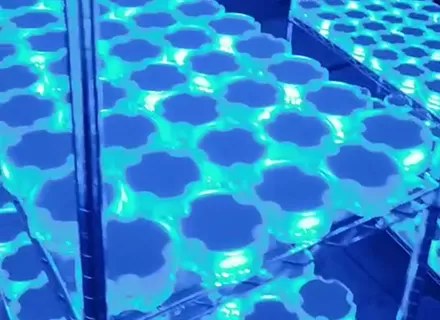 lik 143 soalr road studs wholesale